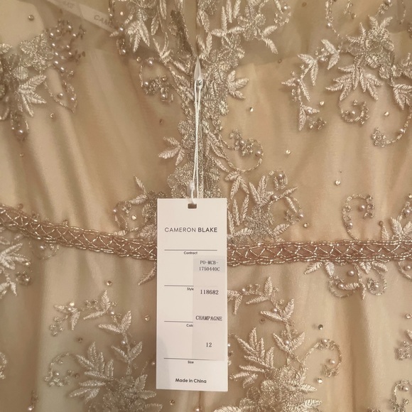 Gorgeous champagne mother-of-the-bride dress - Picture 6 of 7